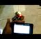 Robot Indobot Duino Arduino Bluetooth RC