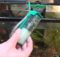 Air Powered Mini FIlter for the Indoor Fish Tank
