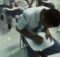 Spikotes kelas unggulan SMK YPT Kota Tegal